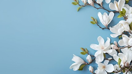  a branch of white flowers with green leaves on a blue background.  generative ai