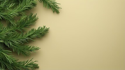  a close up of a pine tree branch with a beige background.  generative ai
