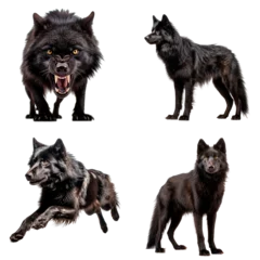 Deurstickers Gray Wolf © ZipArt