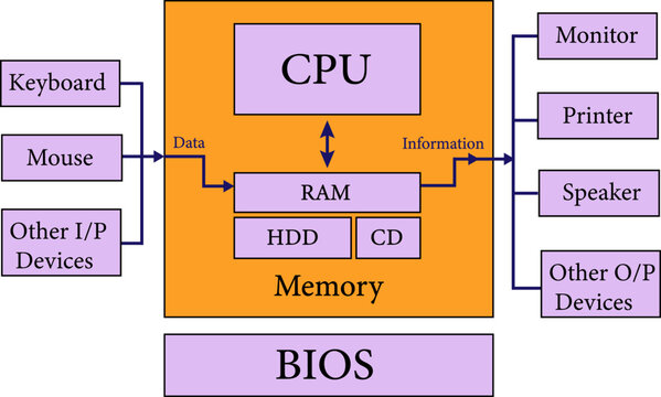  Computer Components diagram , computer architecture , computer parts .Vector illustration