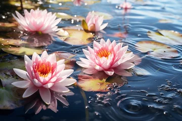 Foto op Plexiglas lotus flowers on water, lily on lake ,water reflection , trees in forest  ,wild lotus on sunset  sky on sea © Aleksandr