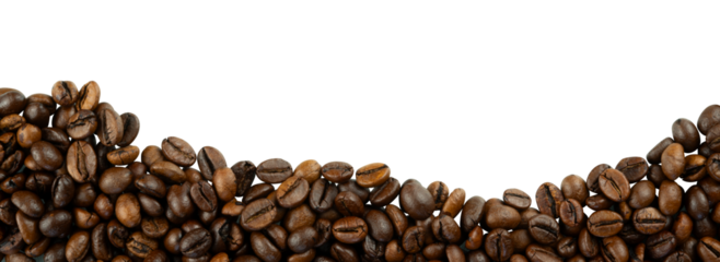 coffee bean border isolated