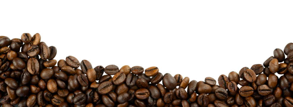 coffee bean border isolated