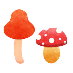 fly agaric mushroom
