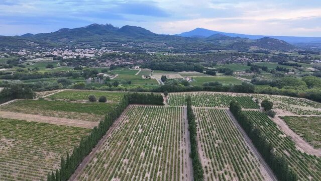 Dentelles de Montmirail
