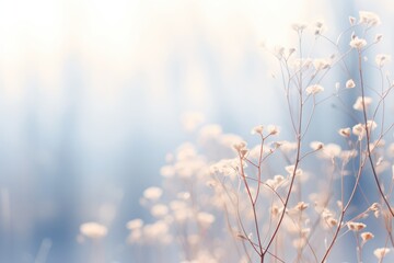 Soft Winter Wonderland Landscape in Soft Focus, with a Blurred Background and Dreamy Atmospheric Qualities with Ample Copy Space 