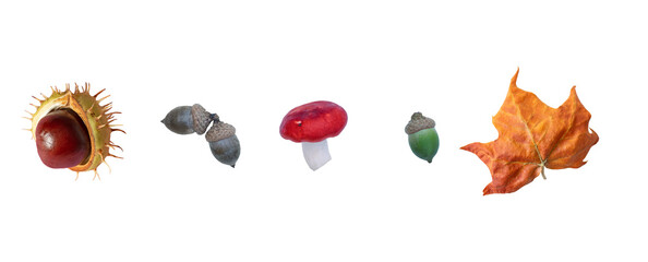 Various autumn fruits and leaves. Acorns, chestnut, russula mushroom, red leaf. Isolate on white. option available PNG