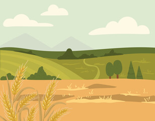 Landscape with wheat vector, summer landscape illustration, rural landscape with wheat fields, wheat plants vector
