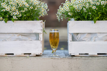 Ein Bierglas inmitten blühender Ästhetik
