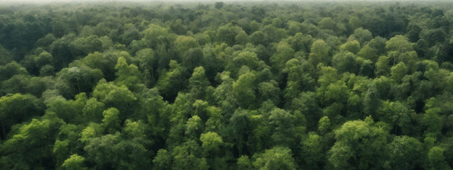 Aerial Forest Landscape Texture: Abstract Background Depicting the Harmony of Ecosystems and Healthy Ecology Environment, Capturing the Top-View Beauty of Nature.