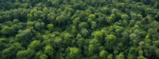 Aerial Forest Landscape Texture: Abstract Background Depicting the Harmony of Ecosystems and Healthy Ecology Environment, Capturing the Top-View Beauty of Nature.