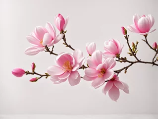 Poster Im Rahmen Pink spring magnolia flowers branch © @uniturehd