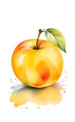 Watercolor illustration of apple.