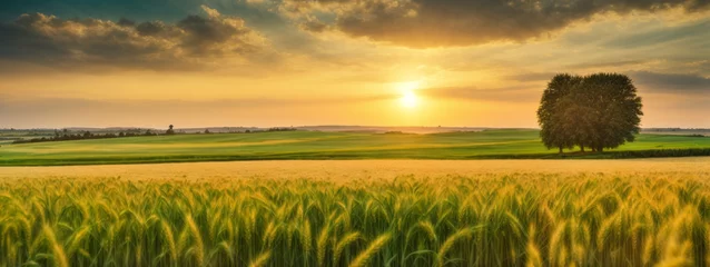 Handdoek met foto Meloenkleur Rural landscape with wheat field on sunset  © @uniturehd