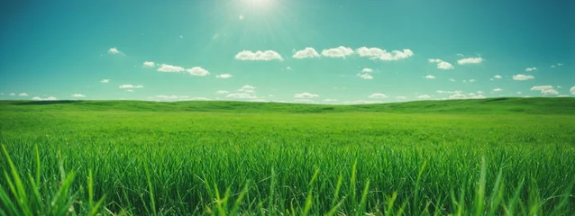 Fotobehang Green grass on blue clear sky, spring nature theme. Panorama © @uniturehd