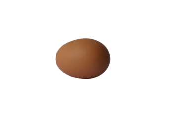 A brown chicken egg isolated lay down on white background, food healty concepts.