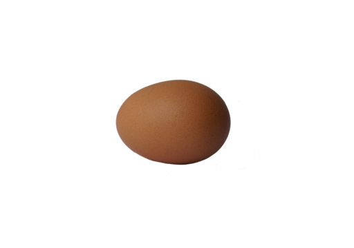 A brown chicken egg isolated lay down on white background, food healty concepts.