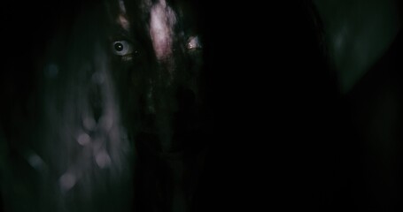 Horror scene of a mysterious Scary closeup eyes Asian ghost woman creepy have hair covering the...