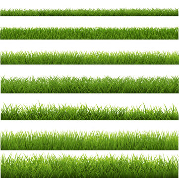 Green Grass Border Set With White Background