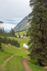 Barskoon Gorge. Barskoon valley, Kyrgyzstan. Beautiful mountain landscapes with traditional kyrgyz yurts. 
