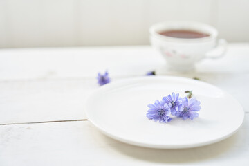 Cichorium intybus, the flowers of which are usually called blue sailors, chicory, coffee grass or accelerated - herbaceous perennial plant. On the background of a mug with a drink. High quality photo