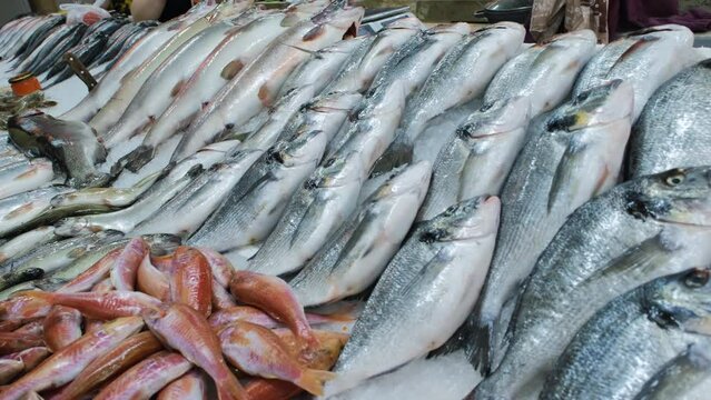 Close-up of stall filled with raw fishes at the seafood market. Sea bream, sea bass, red mullet fishes and other laid out on ice