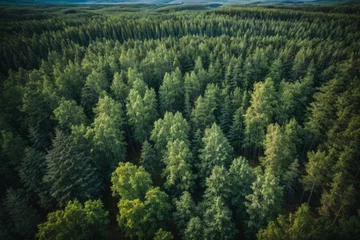 Foto op Aluminium Aerial top view of summer green trees in forest in rural Finland. © @uniturehd