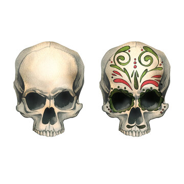 Human skulls front view with colored ornaments and without. Hand drawn watercolor illustration for Halloween, day of the dead, Dia de los muertos. Set of isolated objects on a white background.