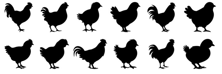 Chicken farm animals silhouettes set, large pack of vector silhouette design, isolated white background