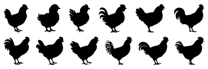 Chicken farm animals silhouettes set, large pack of vector silhouette design, isolated white background