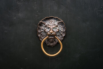 Dettaglio della tradizionale maniglia a forma di testa di leone su una porta di una casa a Venezia - obrazy, fototapety, plakaty