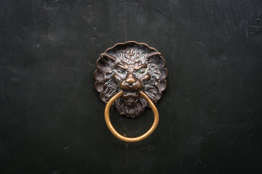 Dettaglio della tradizionale maniglia a forma di testa di leone su una porta di una casa a Venezia