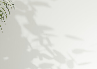 Abstract Shadow of Leaves on a White Wall Background