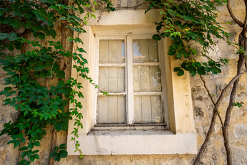 a white window of an old house and a facade covered with green ivy, a white weathered wall, medieval European architecture, city streets