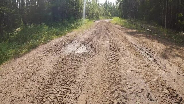 Mountain biking action camera footage while biking along a very muddy trail with many puddles. The front wheel of the bicycle can be seen at the bottom of the clip.  The road cuts through a thick fore