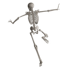 skeleton posing 3d render illustration with transparent background