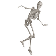 skeleton posing 3d render illustration with transparent background