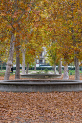 Colourful trees over fountains in autumn