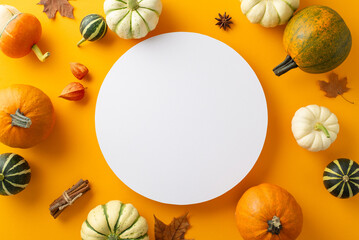 Thanksgiving tableau concept: Top-view photo of pumpkins, pattipans, maple leaves, anise, and cinnamon sticks. Physalis flowers enhance orange setting, providing open circle for text or promo content