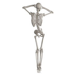skeleton posing 3d render illustration with transparent background