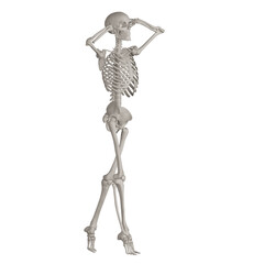 skeleton posing 3d render illustration with transparent background
