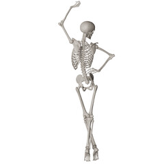 skeleton posing 3d render illustration with transparent background