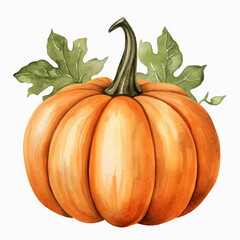 Watercolor illustration autumn pumpkin clipart by hand on white background.