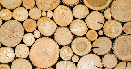 Timber Treasures: Capturing Decorative Wood Textures in Slices