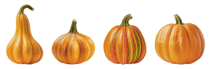 Orange pumpkins and gourds isolated on a transparent background. Halloween decorations