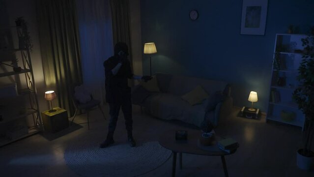 Video of a burglar talking on a phone, second intruder enters the frame with a victim, pointing flashlights and a gun to find out where the valuables are hidden. HDR BT2020 HLG Material.