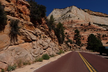 road in zion national park