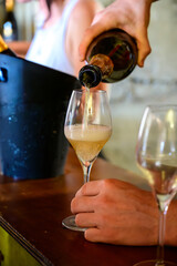 Tasting of sparkling white wine with bubbles champagne on summer festival route of champagne in Cote des Bar, Champagne region, France