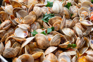 Fresh cooked vongole clams with tomatoes sauce for make of italian seafood dish spaghetti vongole