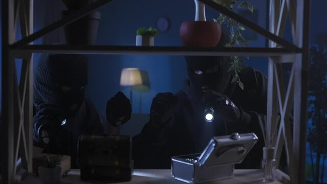 Video capturing two burglars in the room looking for valuables and money. Men are putting jewelry in their bags, when the owner of the house comes from behind, pointing a gun at them. HDR BT2020 HLG